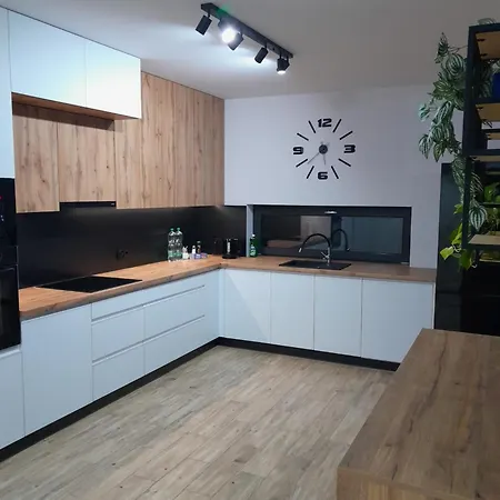 Nowy Luksusowy Z Tarasem I Ogrodem Prywatny Parking Zerniki Apartment Gliwice